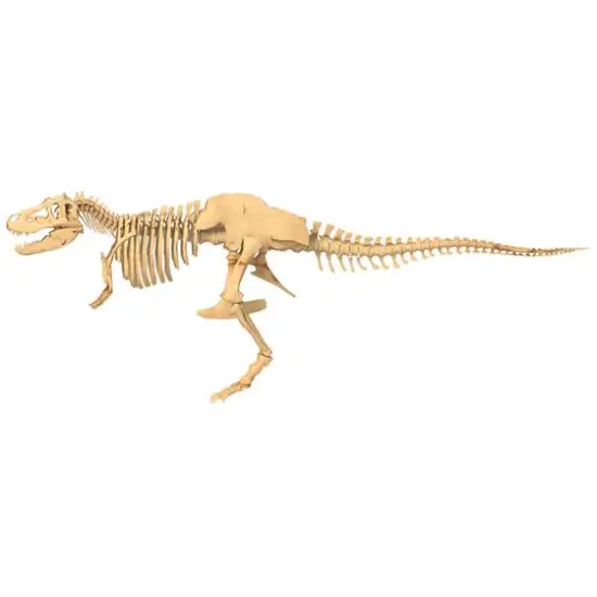 Thames & Kosmos Giant Dinosaur Skeleton Kit {4}