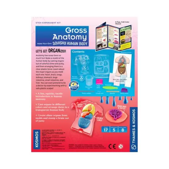 Thames & Kosmos Gross Anatomy: Make-Your-Own Squishy Human Body {4}