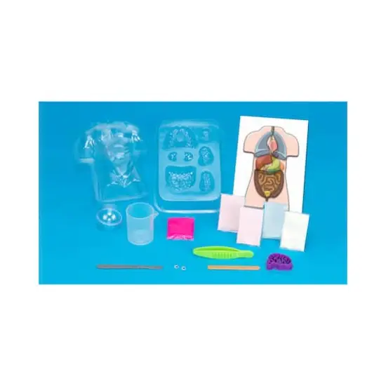 Thames & Kosmos Gross Anatomy: Make-Your-Own Squishy Human Body {1}